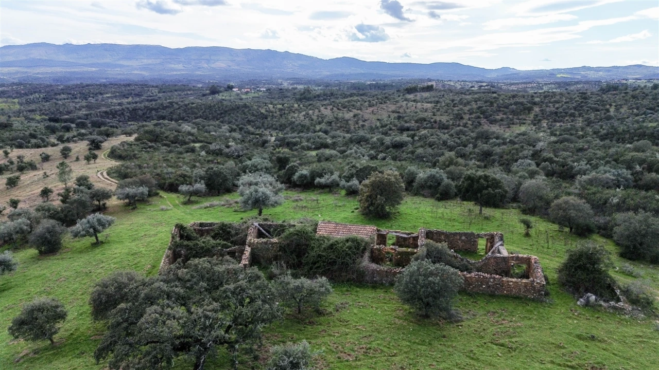 Quinta T0 para Venda em Penamacor Foto 34