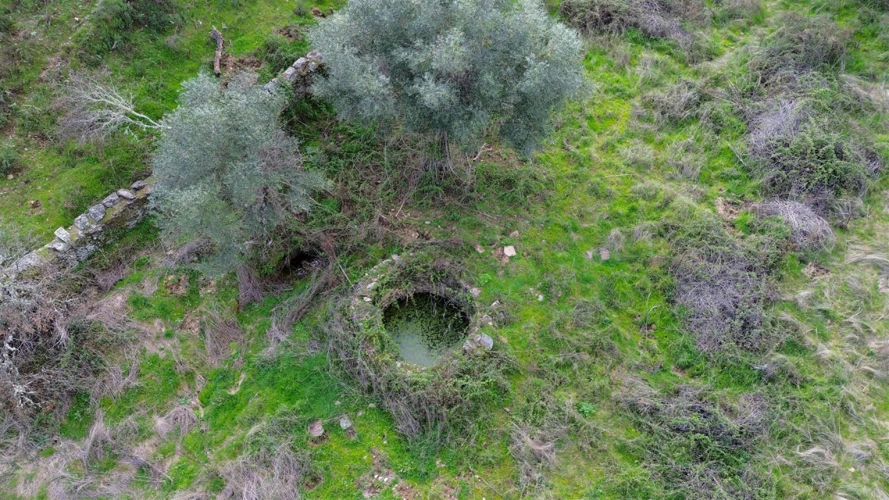 Quinta T0 para Venda em Penamacor Foto 60