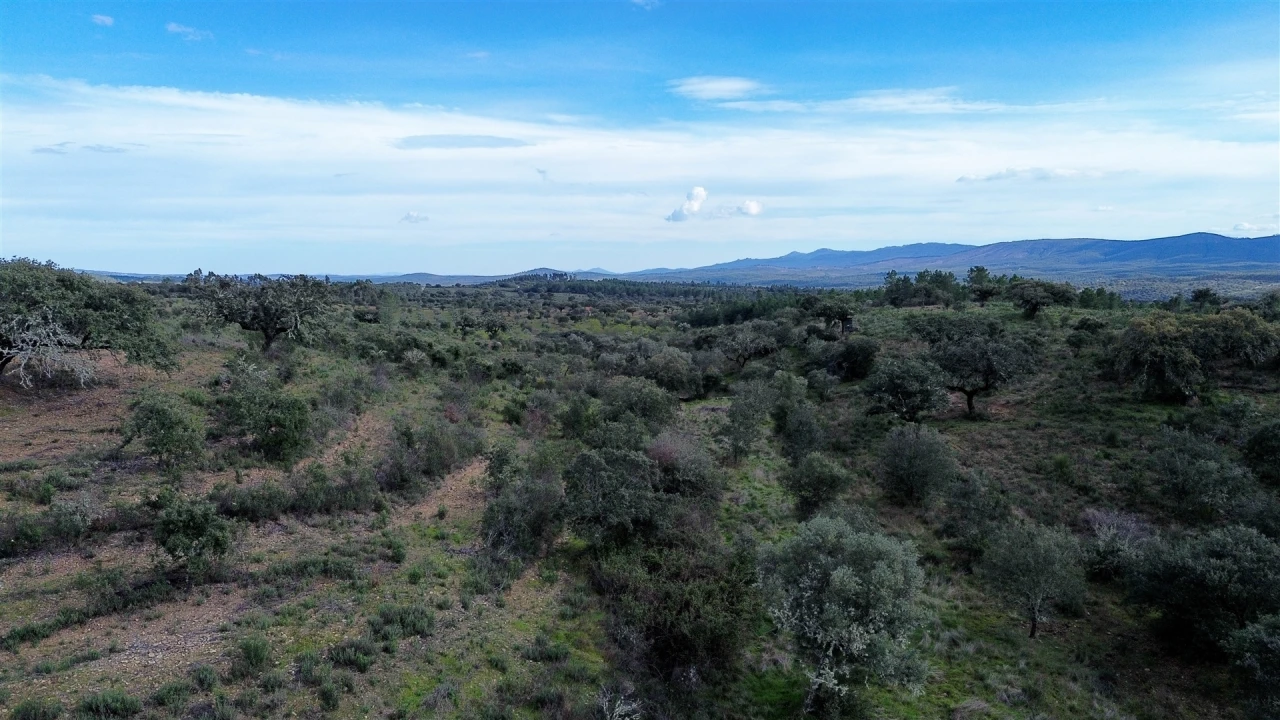 Quinta T0 para Venda em Penamacor Foto 54