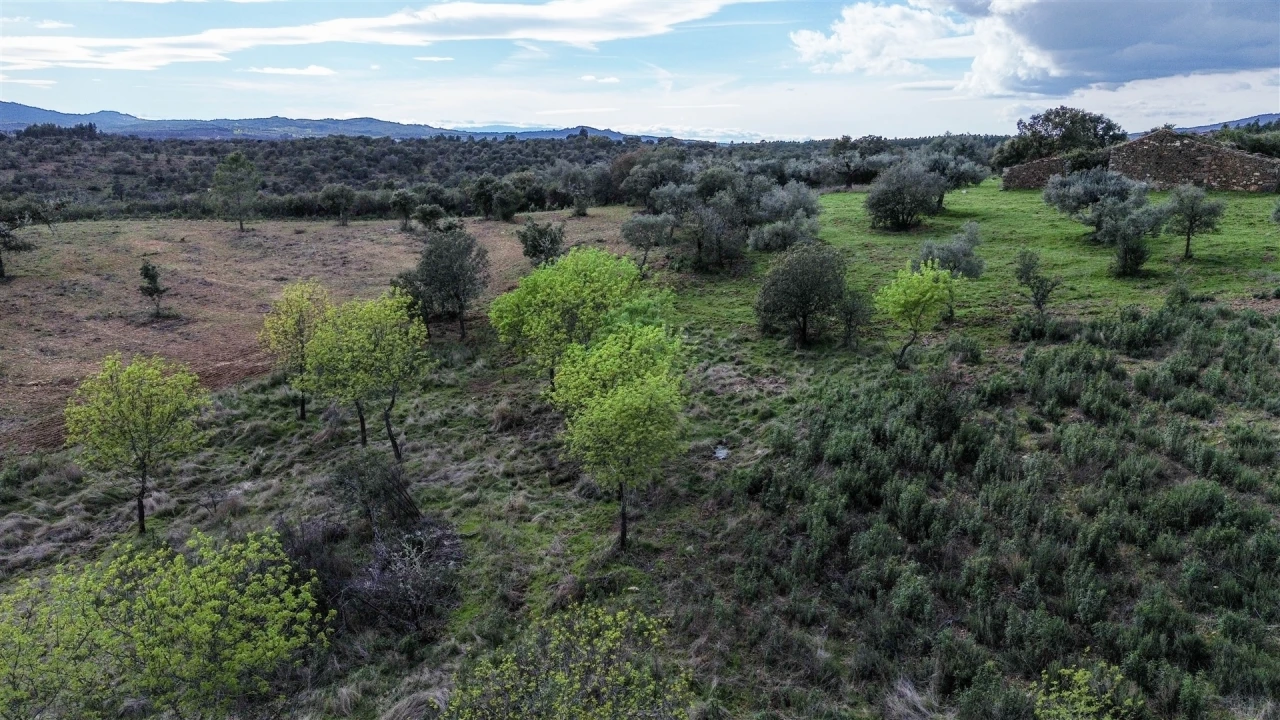 Quinta T0 para Venda em Penamacor Foto 44