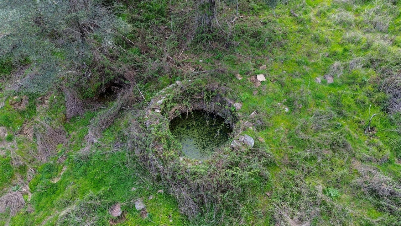 Quinta T0 para Venda em Penamacor Foto 59