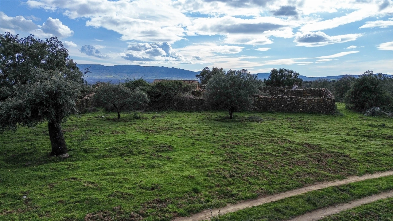 Quinta T0 para Venda em Penamacor Foto 64