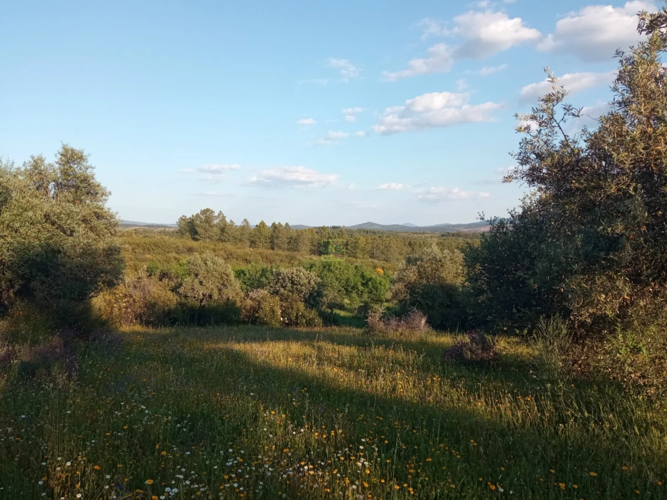 Quinta T0 para Venda em Penamacor Foto 22