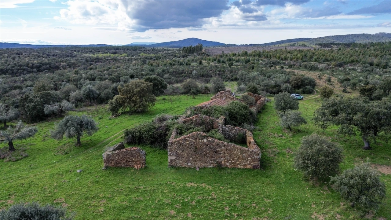 Quinta T0 para Venda em Penamacor Foto 40