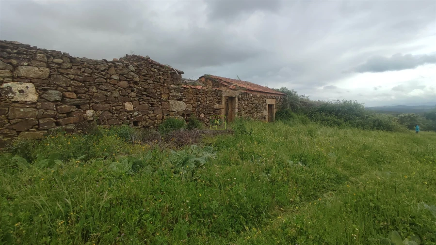 Quinta T0 para Venda em Penamacor Foto 3