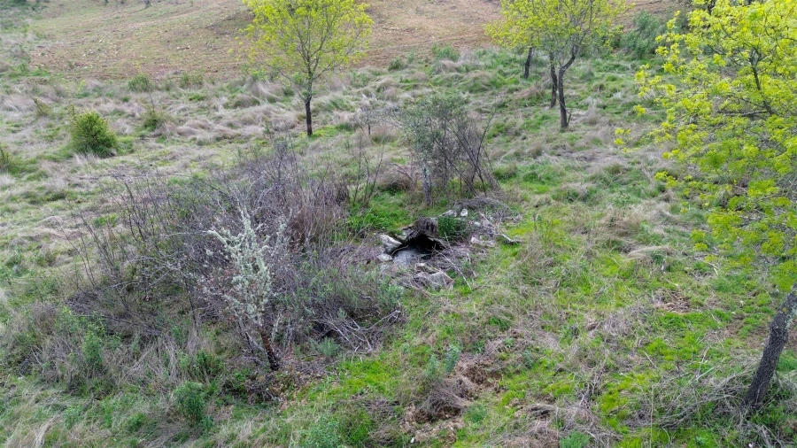 Quinta T0 para Venda em Penamacor Foto 43