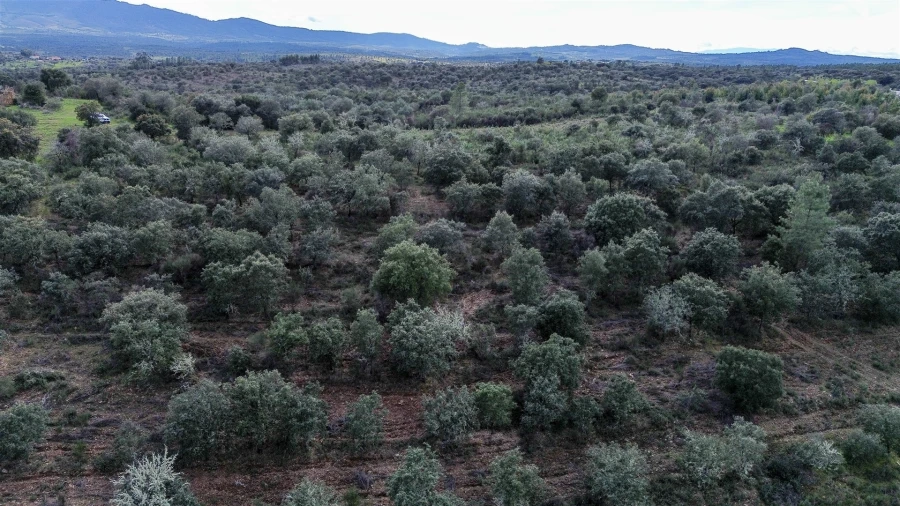 Quinta T0 para Venda em Penamacor Foto 56