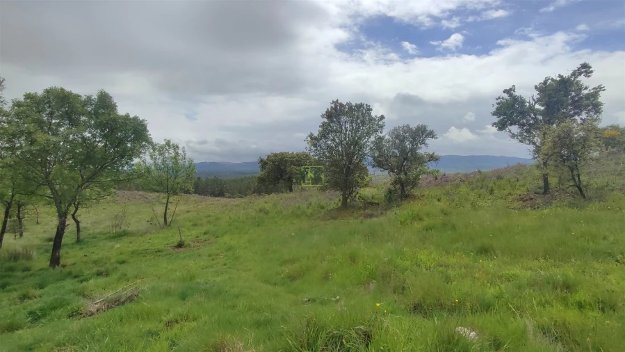 Quinta T0 para Venda em Penamacor Foto 8