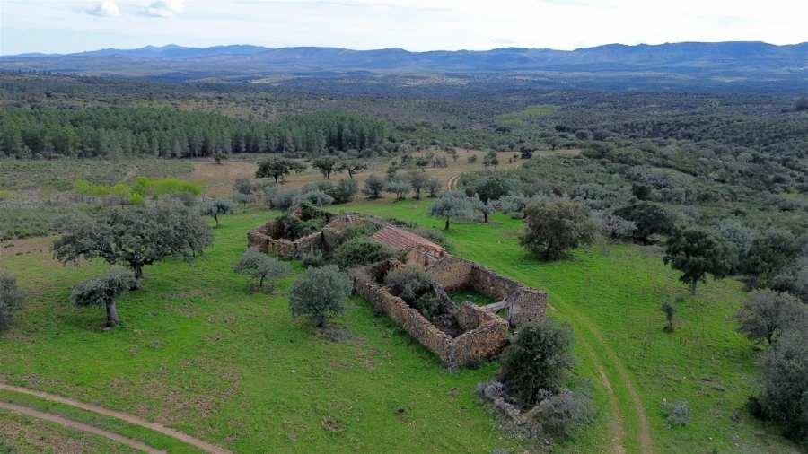 Quinta T0 para Venda em Penamacor Foto 35