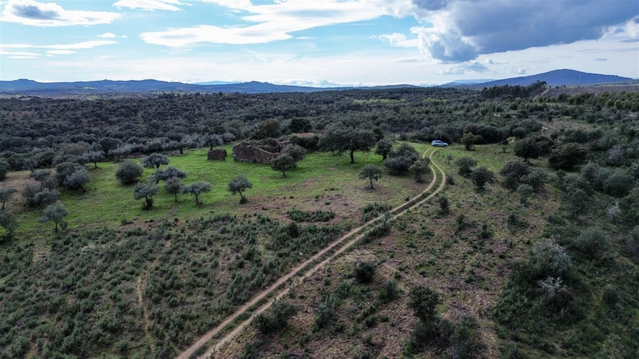 Quinta T0 para Venda em Penamacor Foto 63