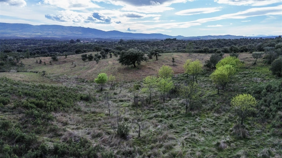Quinta T0 para Venda em Penamacor Foto 47