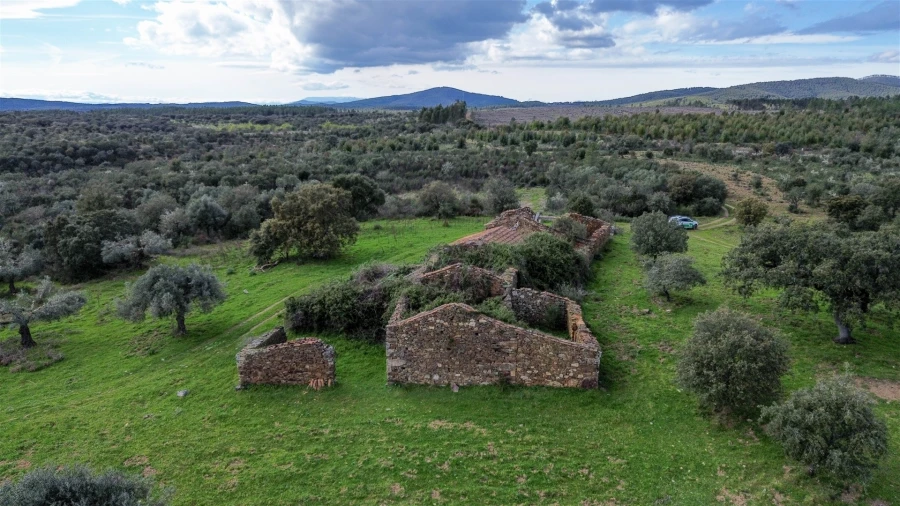 Quinta T0 para Venda em Penamacor Foto 40