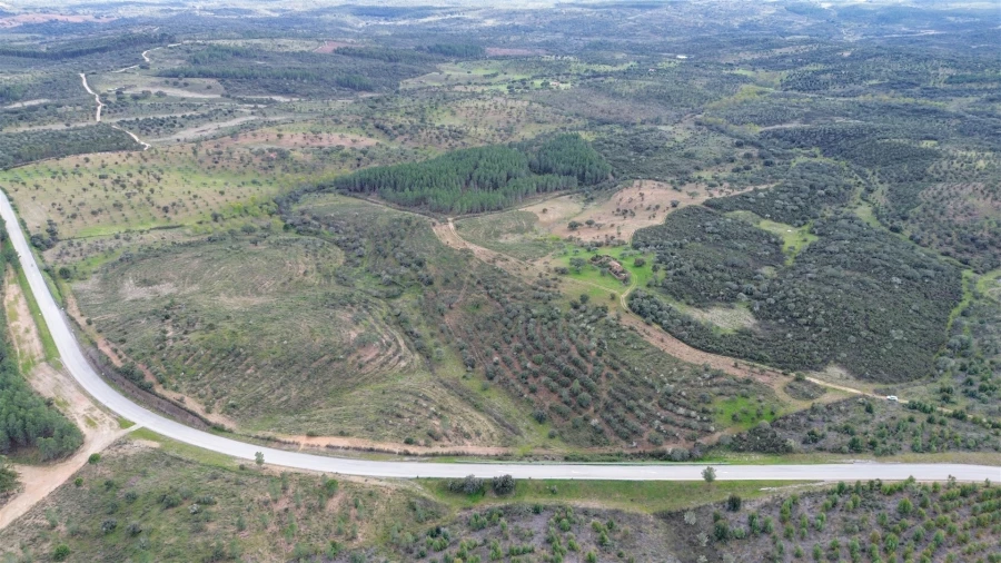 Quinta T0 para Venda em Penamacor Foto 31