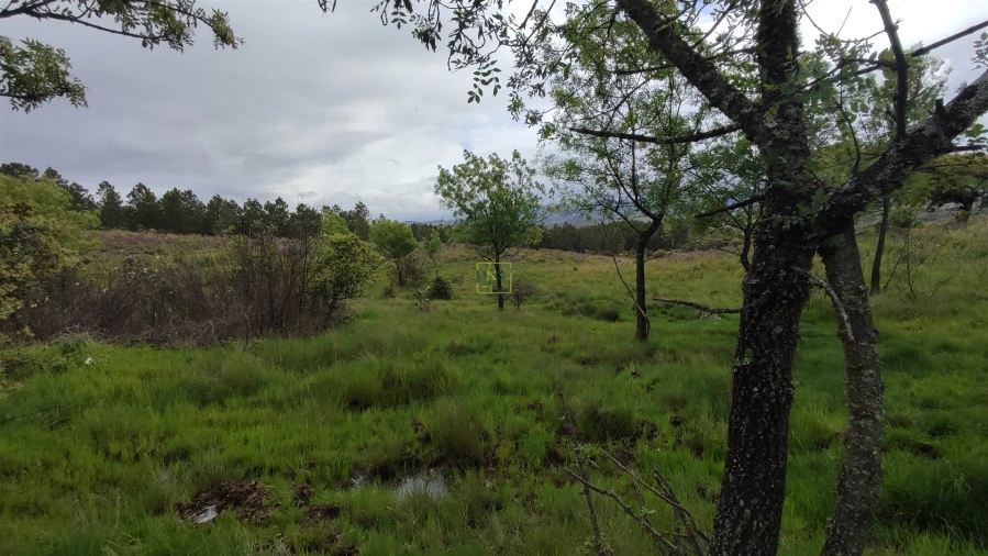 Quinta T0 para Venda em Penamacor Foto 10