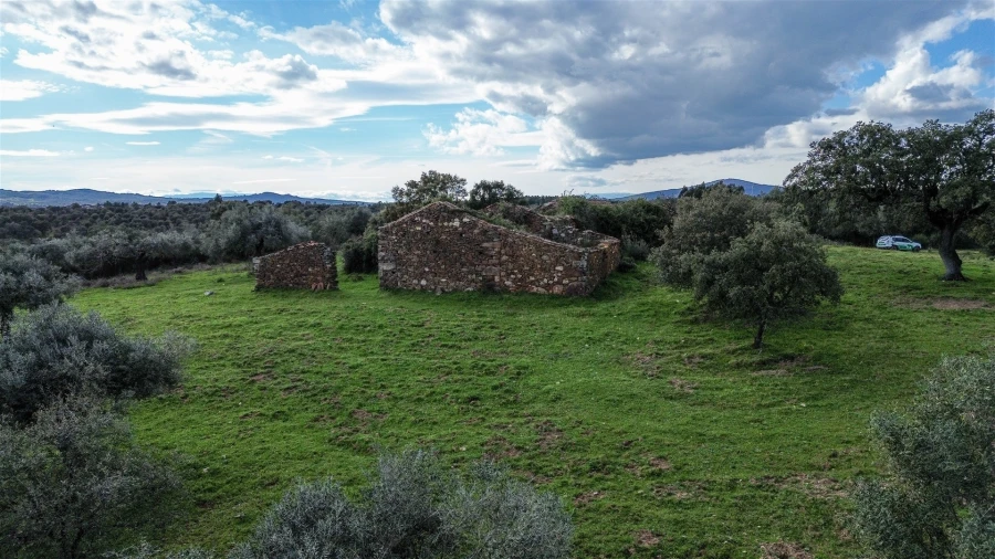 Quinta T0 para Venda em Penamacor Foto 50