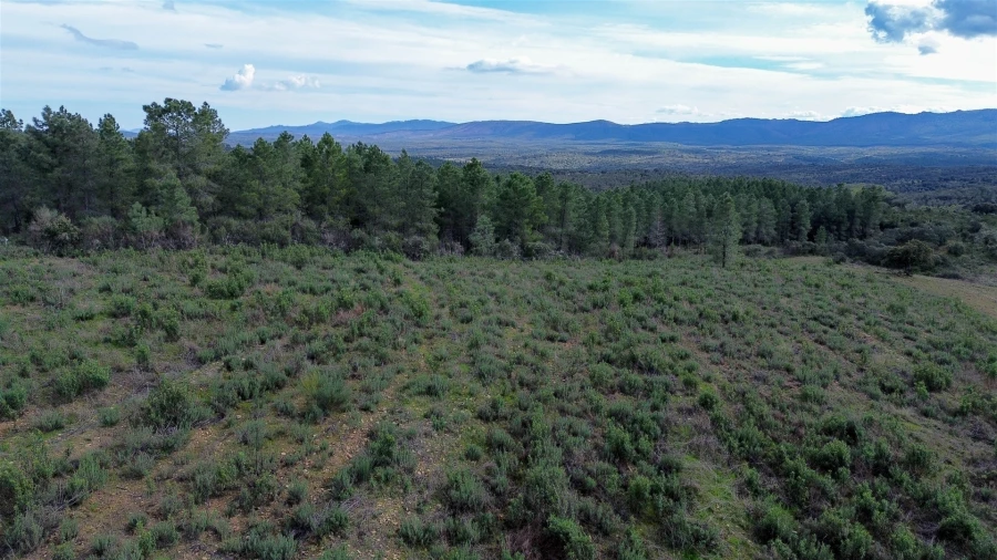 Quinta T0 para Venda em Penamacor Foto 46