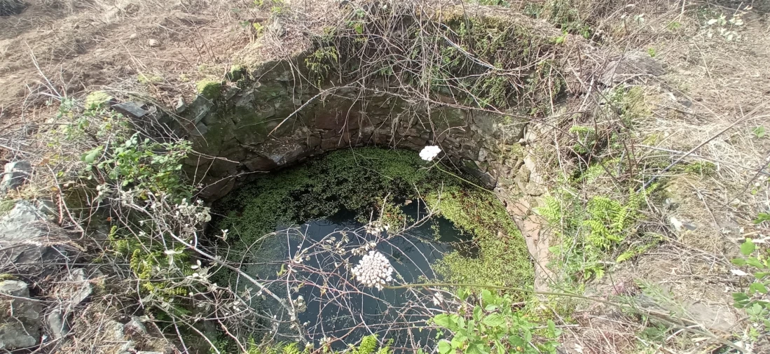 Quinta T0 para Venda em Penamacor Foto 5