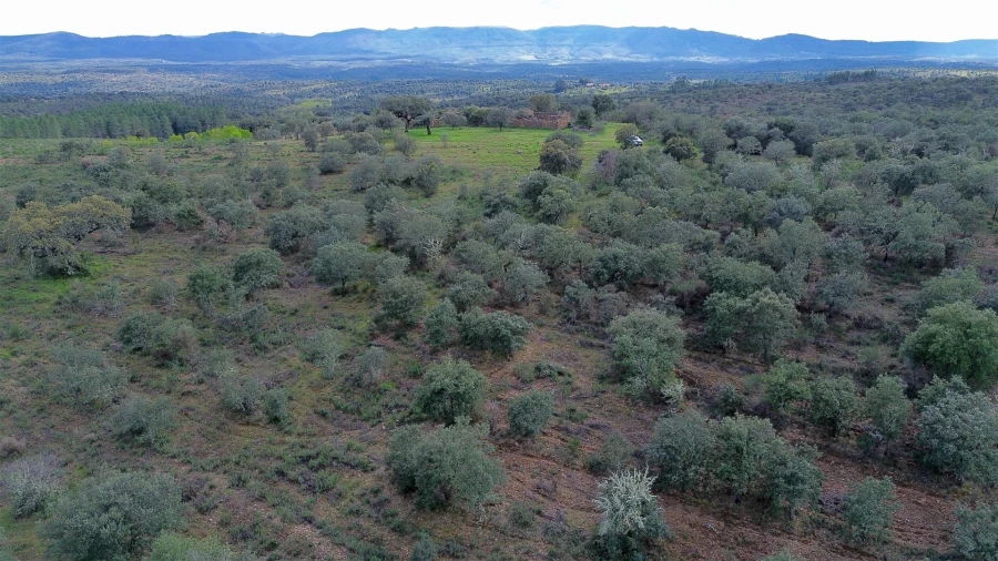 Quinta T0 para Venda em Penamacor Foto 57
