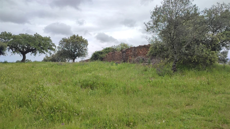 Quinta T0 para Venda em Penamacor Foto 19