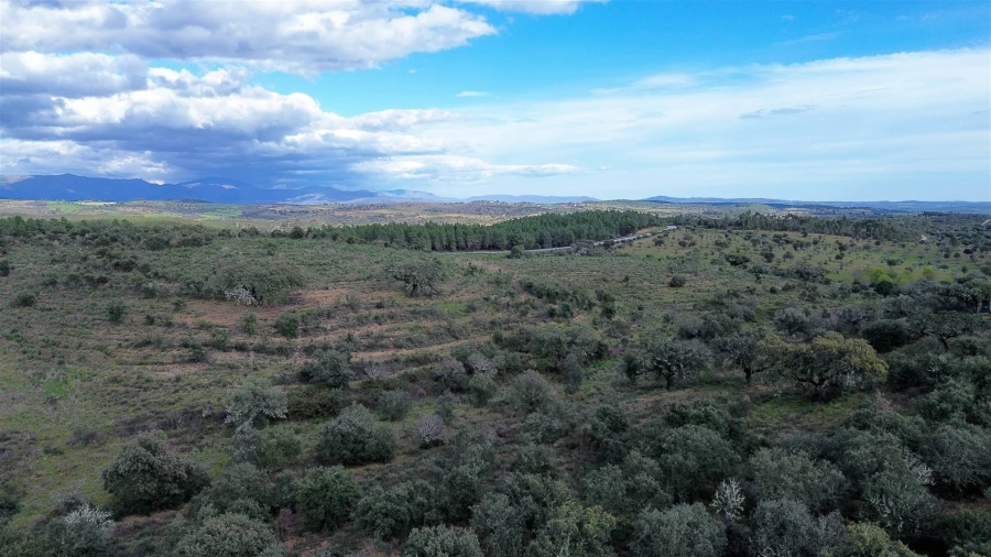 Quinta T0 para Venda em Penamacor Foto 53