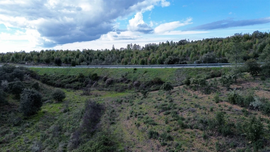 Quinta T0 para Venda em Penamacor Foto 55