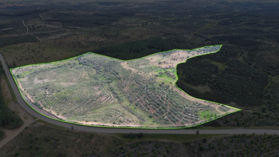 Quinta T0 para Venda em Penamacor Foto 32