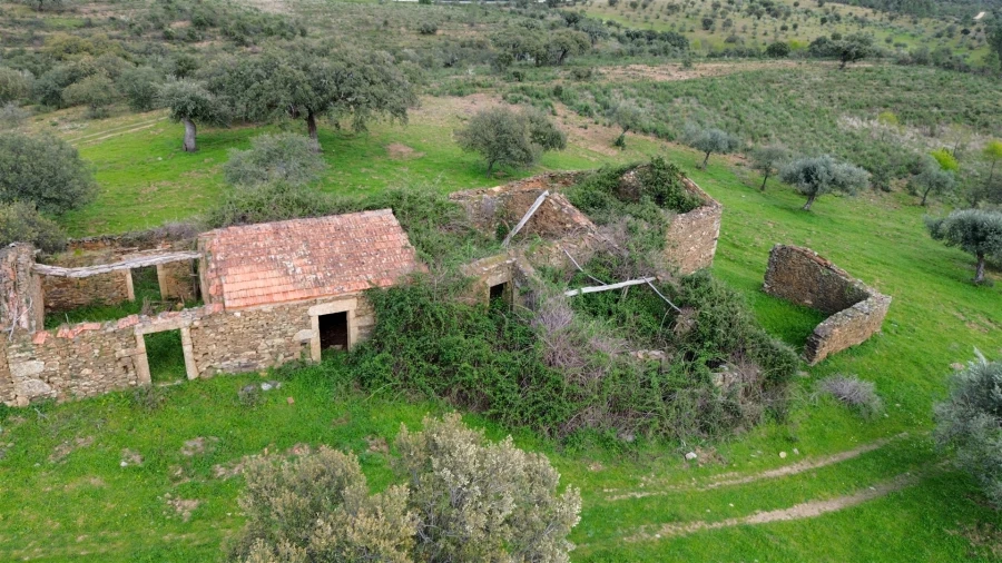 Quinta T0 para Venda em Penamacor Foto 38