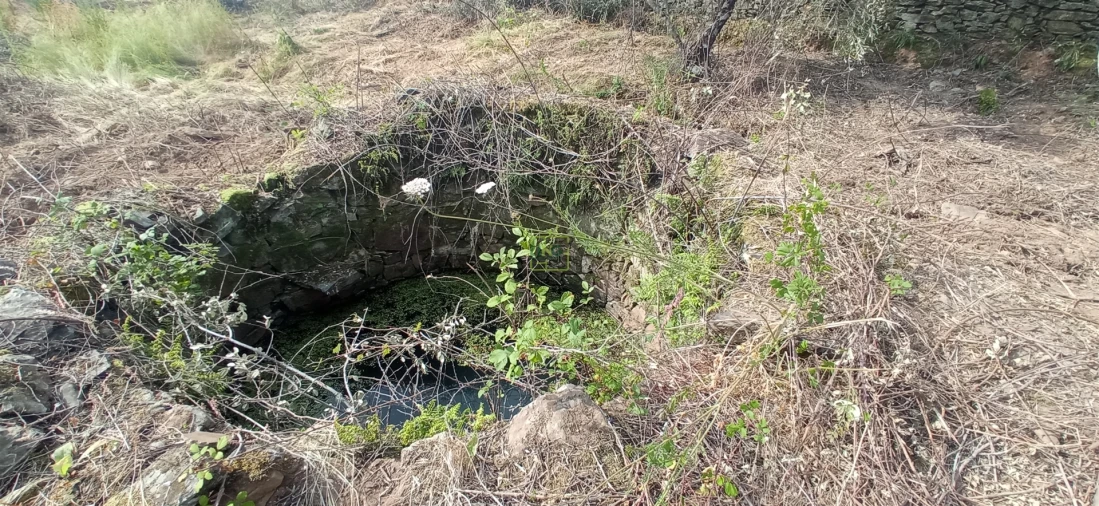 Quinta T0 para Venda em Penamacor Foto 15
