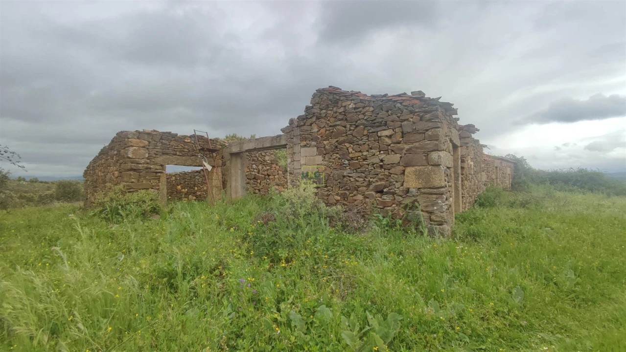 Quinta T0 para Venda em Penamacor Foto 4