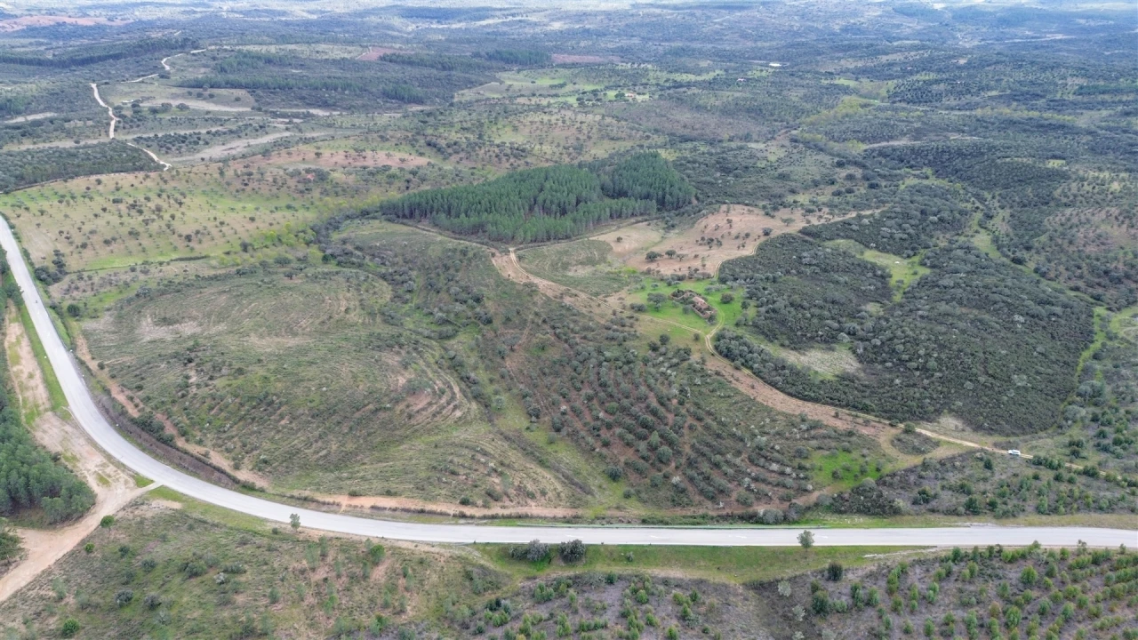 Quinta T0 para Venda em Penamacor Foto 31