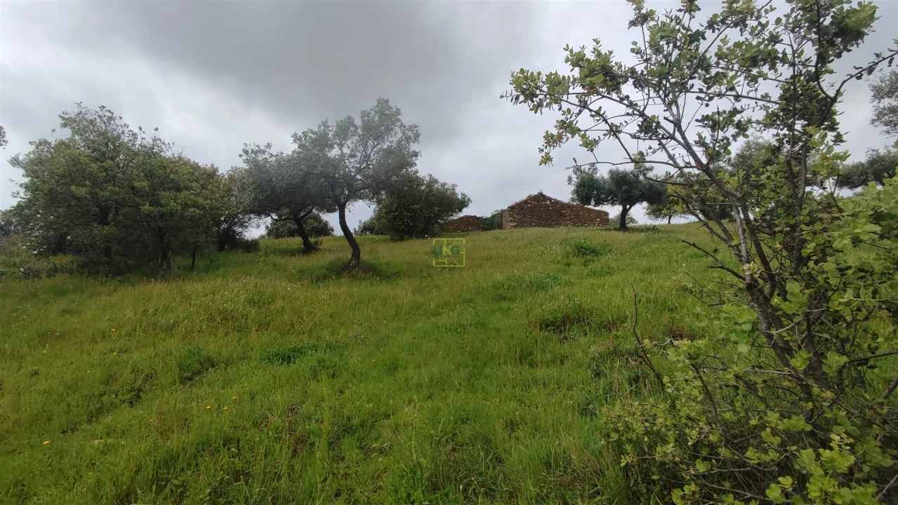 Quinta T0 para Venda em Penamacor Foto 17