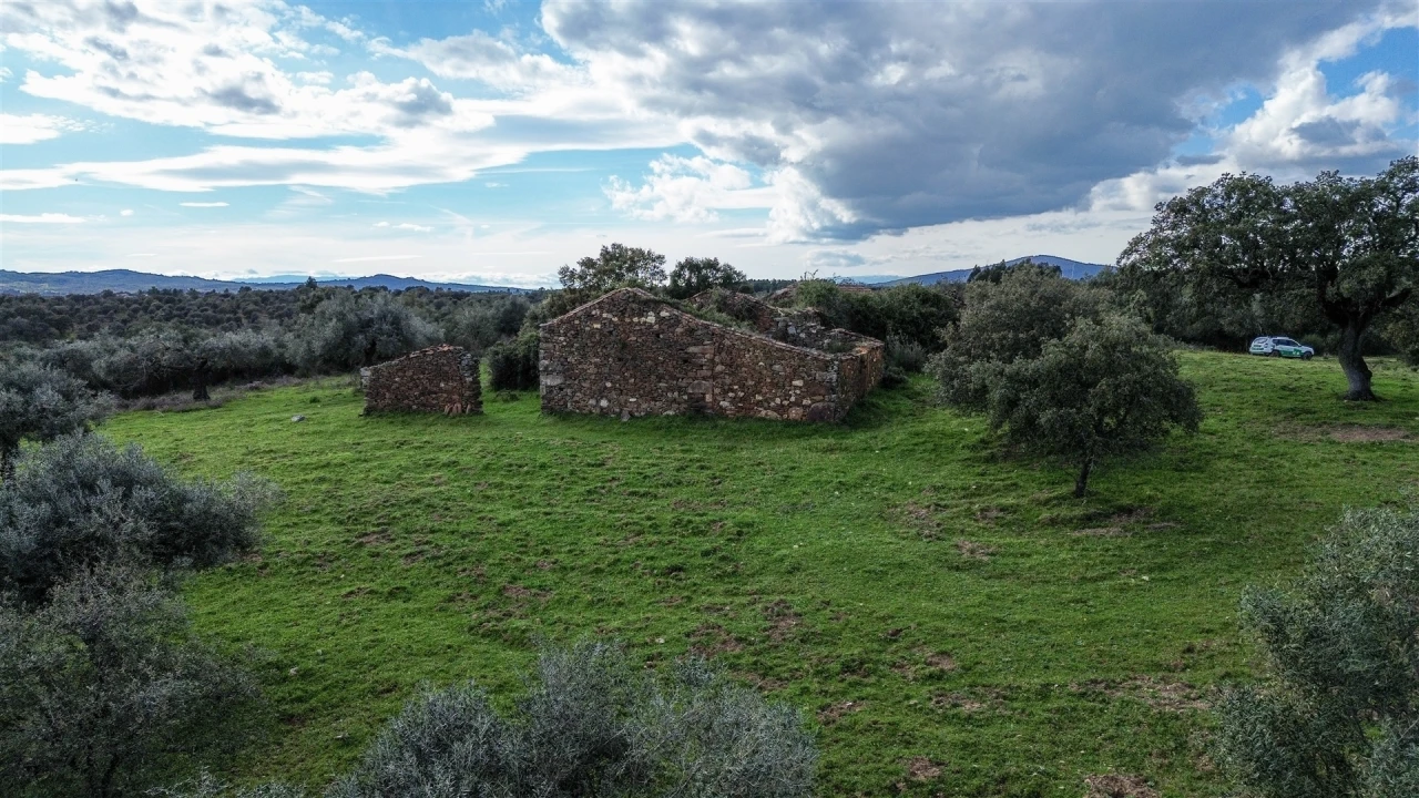 Quinta T0 para Venda em Penamacor Foto 50