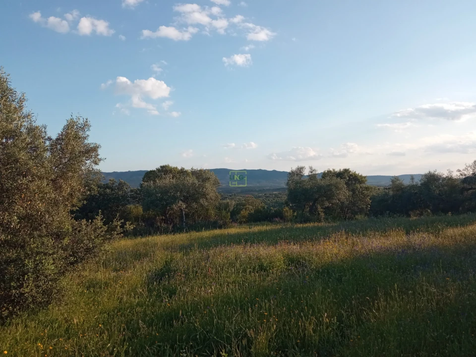 Quinta T0 para Venda em Penamacor Foto 23