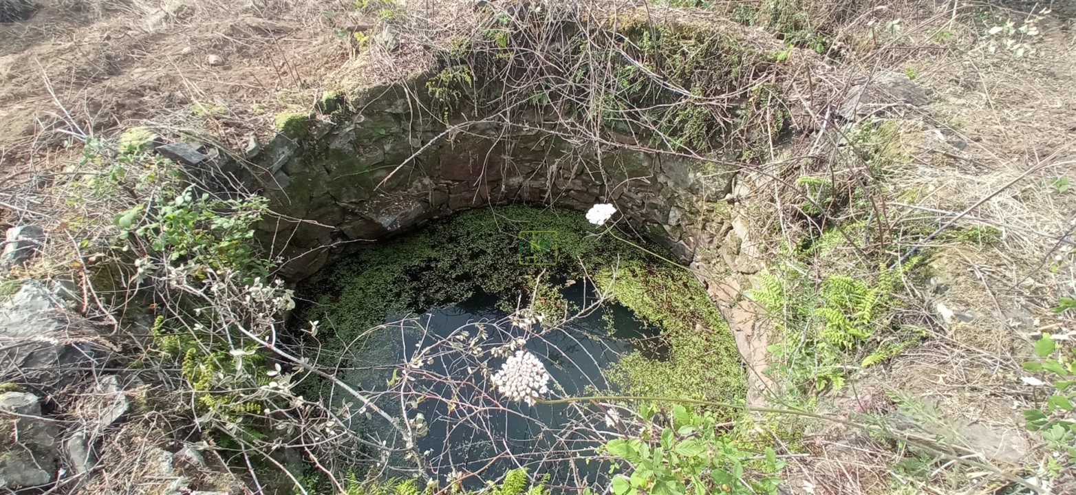 Quinta T0 para Venda em Penamacor Foto 14