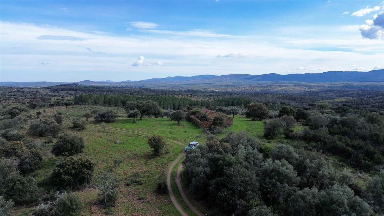 Quinta T0 para Venda em Penamacor Foto 51