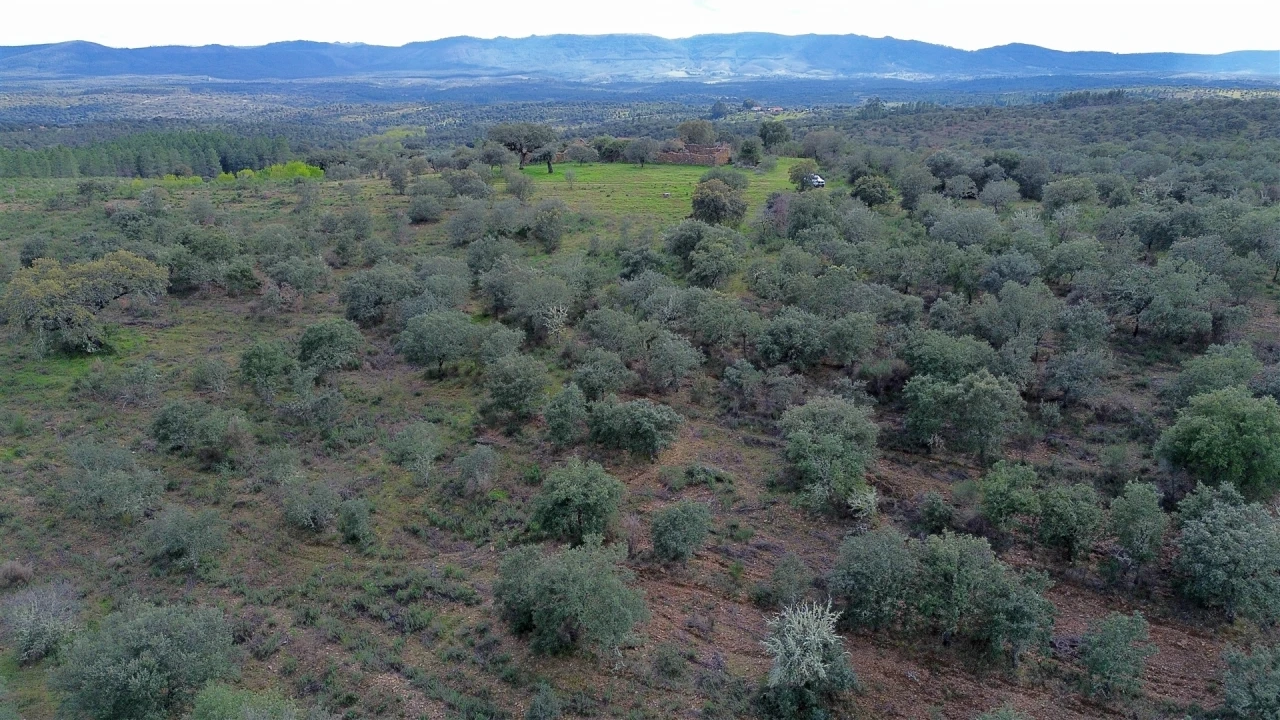 Quinta T0 para Venda em Penamacor Foto 57