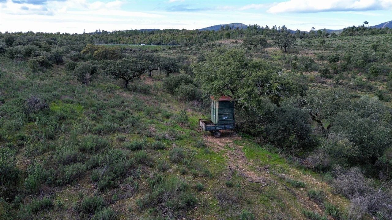 Quinta T0 para Venda em Penamacor Foto 62