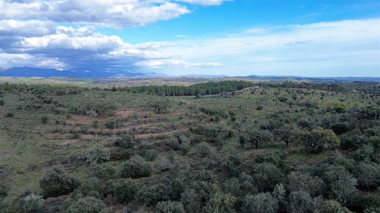 Quinta T0 para Venda em Penamacor Foto 53