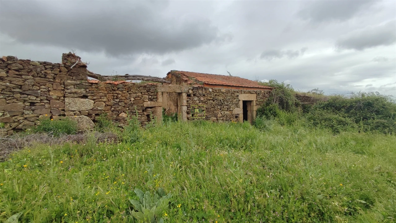 Quinta T0 para Venda em Penamacor Foto 1