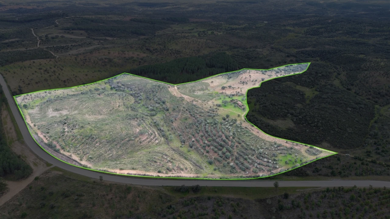 Quinta T0 para Venda em Penamacor Foto 32