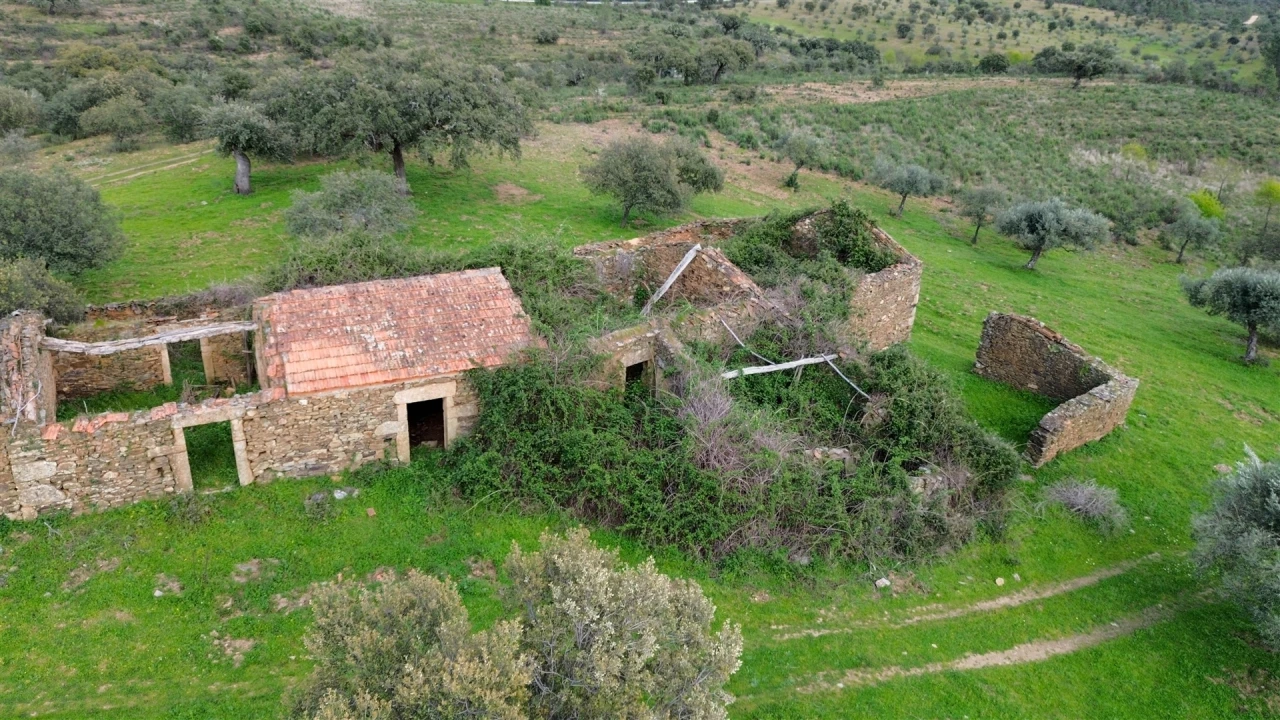 Quinta T0 para Venda em Penamacor Foto 38