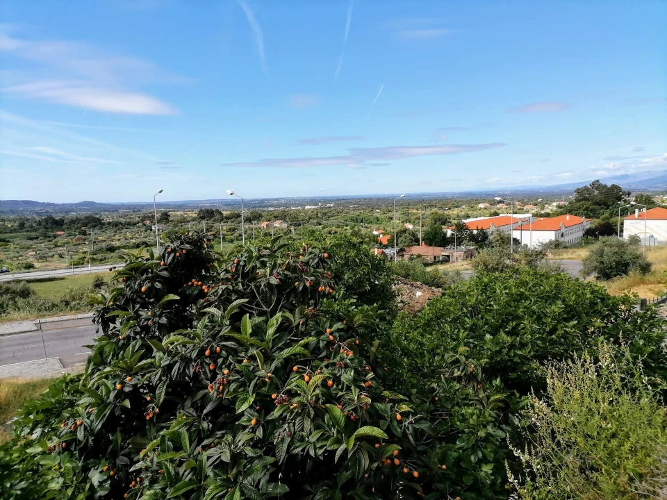 Moradia T2 para Venda em Penamacor Foto 16
