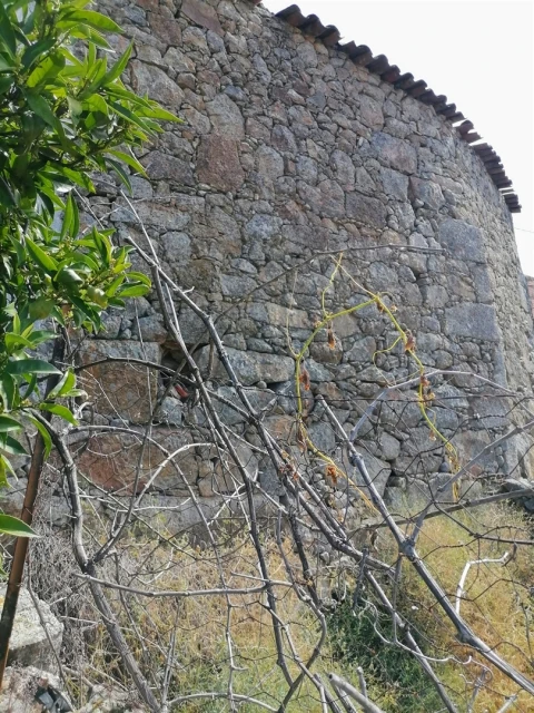 Moradia T2 para Venda em Penamacor