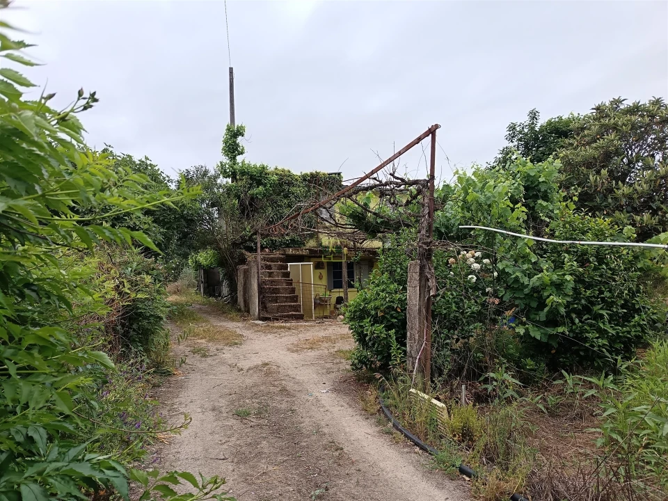 Quinta T3 para Venda em Aldeia do Bispo, Águas e Aldeia de João Pires Foto 19