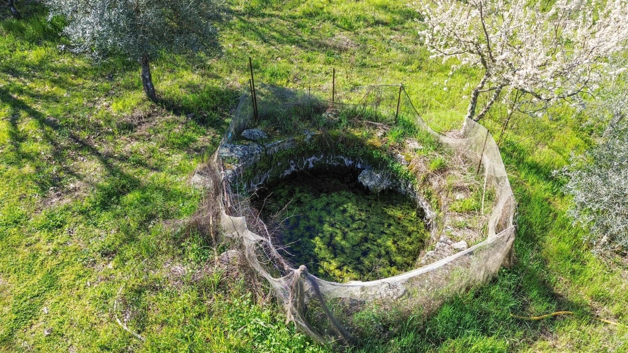 Quinta T3 para Venda em Aldeia do Bispo, Águas e Aldeia de João Pires Foto 34