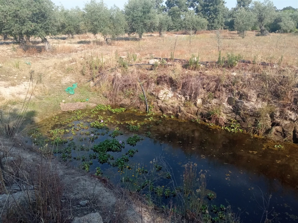 Quinta T3 para Venda em Aldeia do Bispo, Águas e Aldeia de João Pires Foto 7