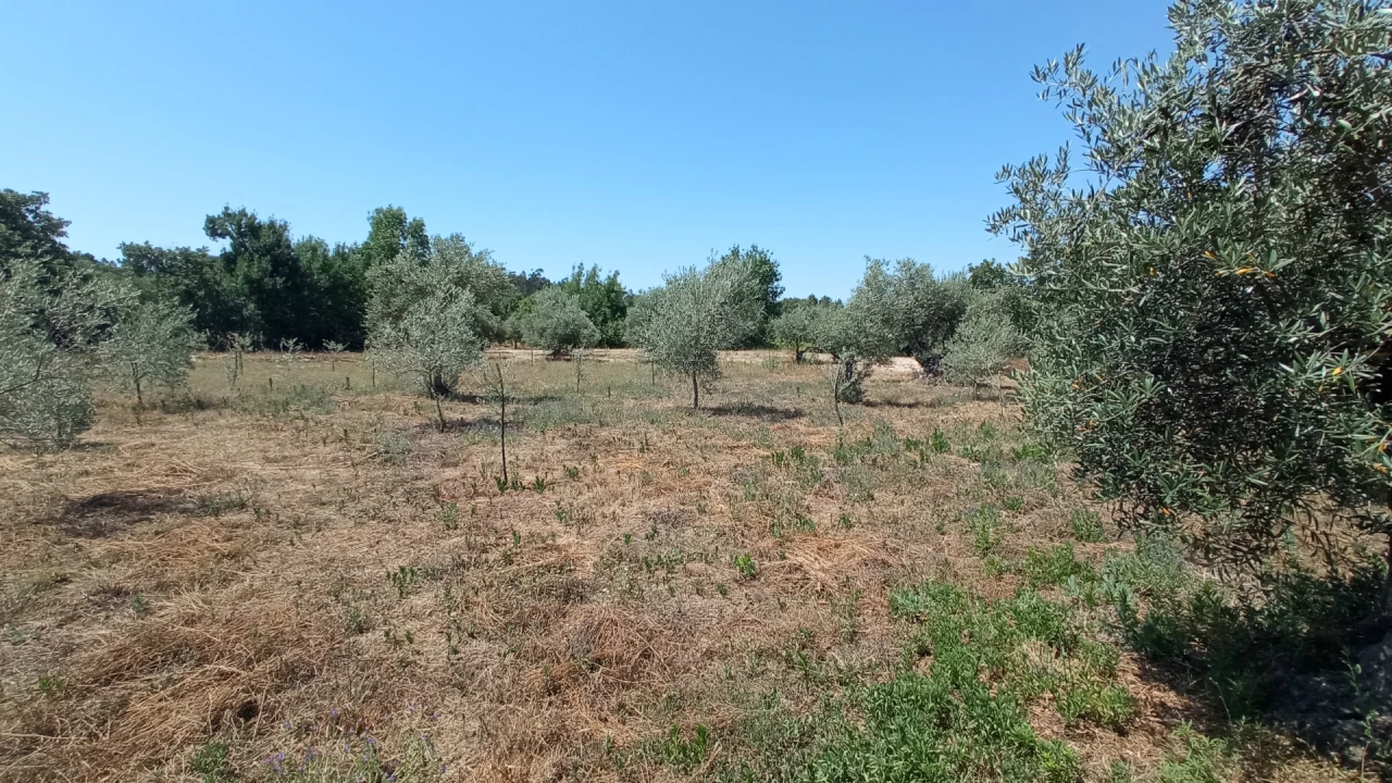 Quinta T3 para Venda em Aldeia do Bispo, Águas e Aldeia de João Pires Foto 5