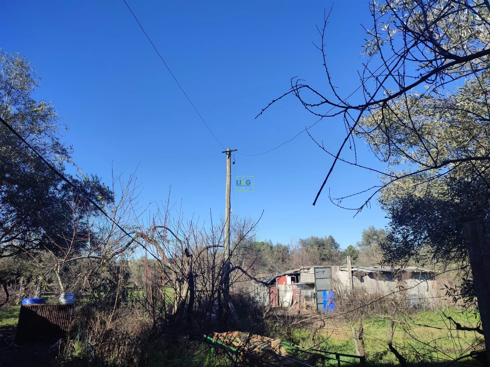 Quinta T3 para Venda em Aldeia do Bispo, Águas e Aldeia de João Pires Foto 9