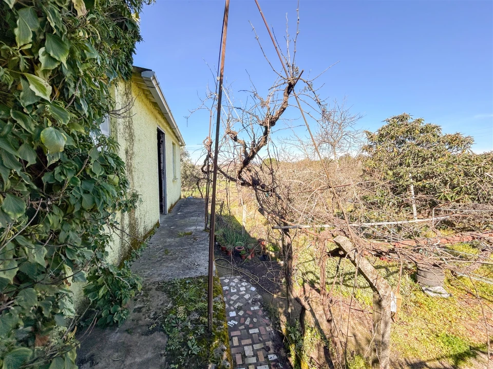 Quinta T3 para Venda em Aldeia do Bispo, Águas e Aldeia de João Pires Foto 92
