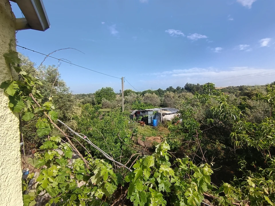 Quinta T3 para Venda em Aldeia do Bispo, Águas e Aldeia de João Pires Foto 17